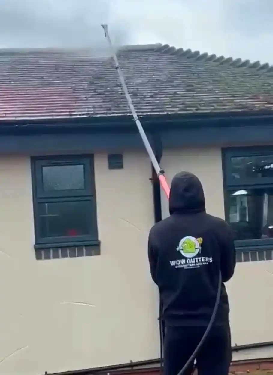 Roof and exterior cleaning image