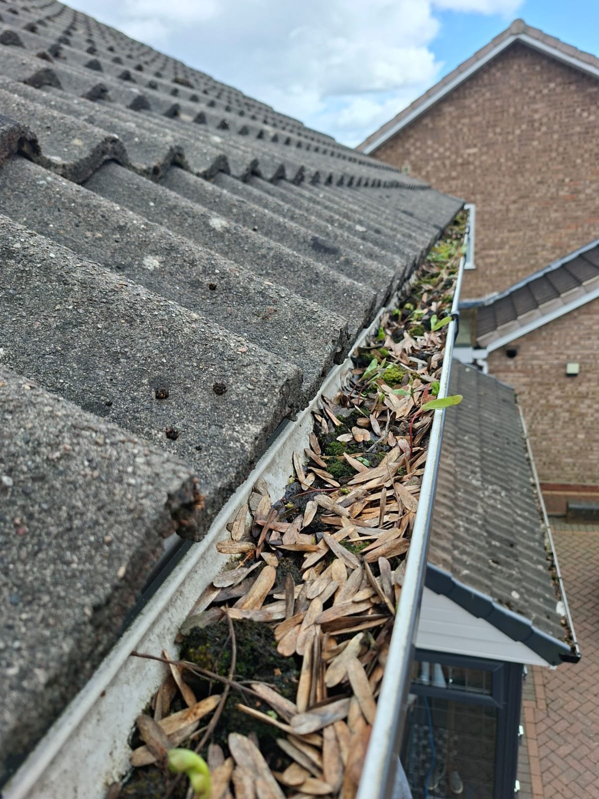 Free Gutter Inspection